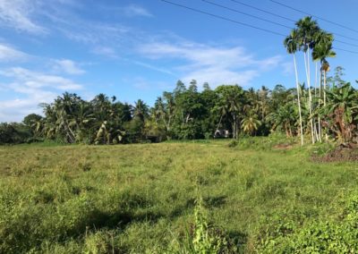 Weg zur Hauptstraße