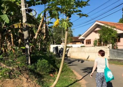 Weg zur Hauptstraße