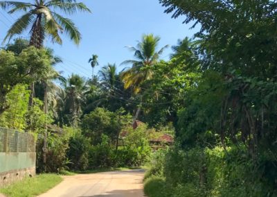 Weg zur Hauptstraße