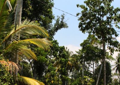 Vor unserem Guesthouse