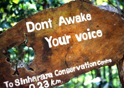 Don't awake your voice