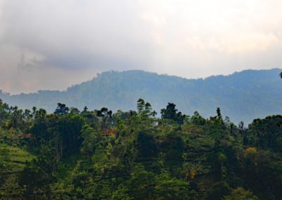 Ausblick aus dem Tuk-Tuk