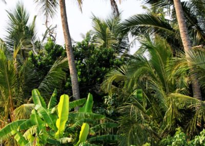 Am Rande der Bahnstrecke