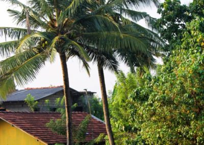 Am Rande der Bahnstrecke