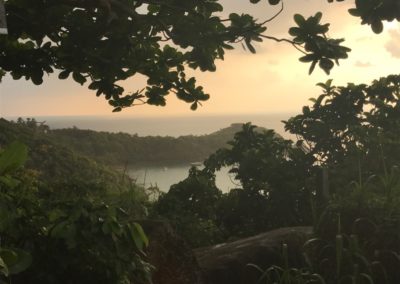 Blick auf Jungle Beach