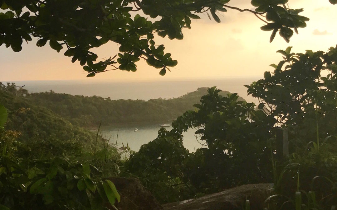 Kräutergarten und Dschungelstrand