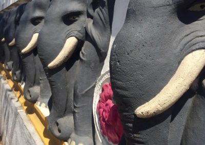 Elefanten säumen die Mauer vor der Fakultät