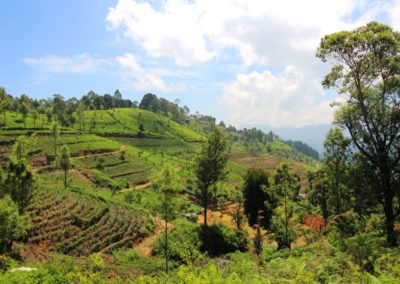 Idyllische Landschaft