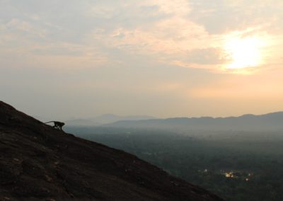 Sonnenaufgang mit Affe