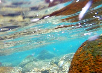 Oberfläche von unten